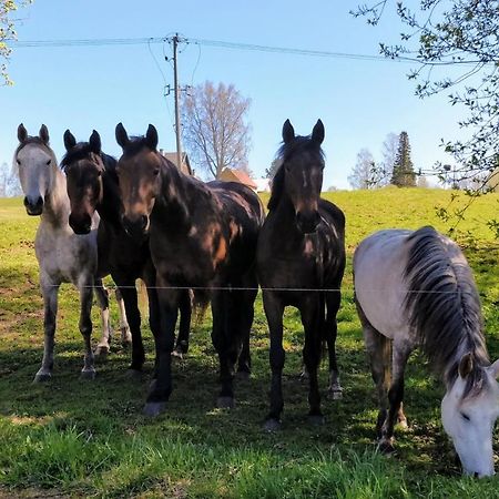 Eha Farmstay Rõuge 외부 사진