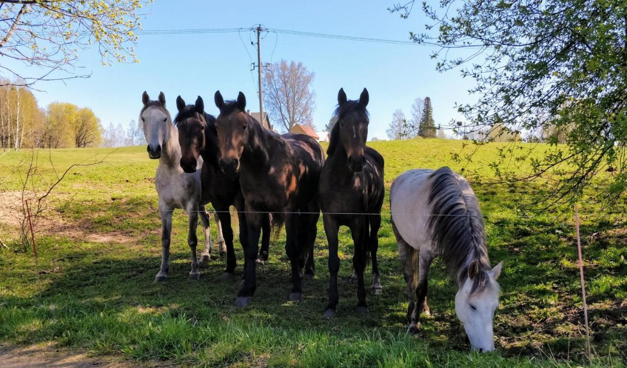 Eha Farmstay Rõuge 외부 사진